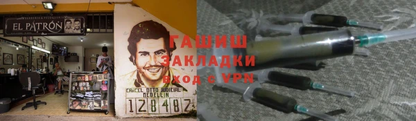индика Алзамай