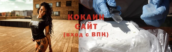 ПСИЛОЦИБИНОВЫЕ ГРИБЫ Алексин