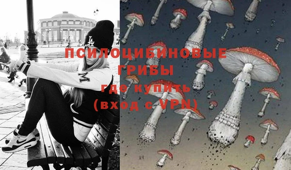 ПСИЛОЦИБИНОВЫЕ ГРИБЫ Алексин
