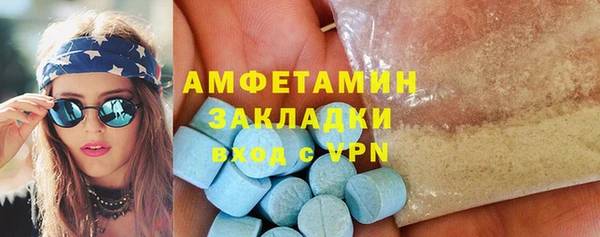 индика Алзамай