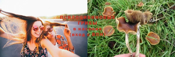 ПСИЛОЦИБИНОВЫЕ ГРИБЫ Алексин